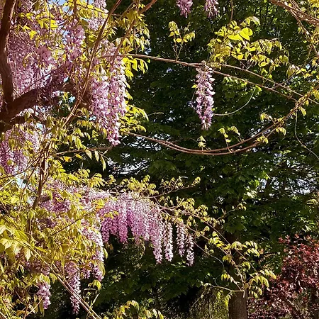 La Meridiana House 住宿加早餐酒店