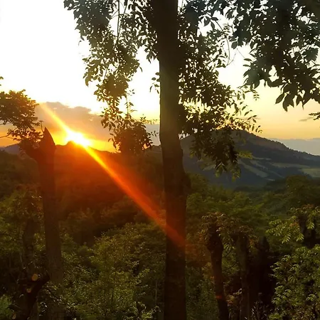 住宿加早餐酒店 La Meridiana House 3*