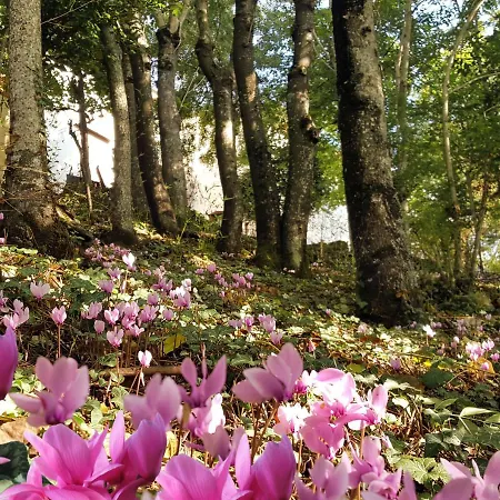 La Meridiana House Bed & Breakfast