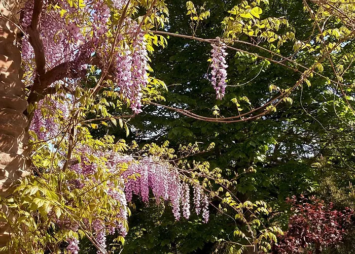 La Meridiana House Nocleg ze śniadaniem