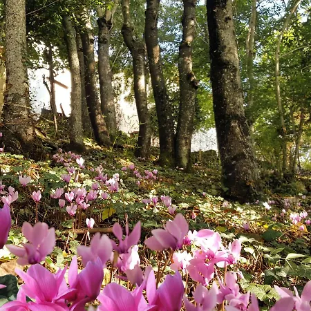 La Meridiana House Couette-café