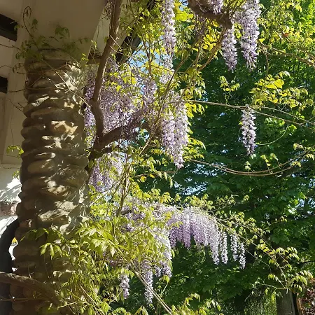 La Meridiana House B&B