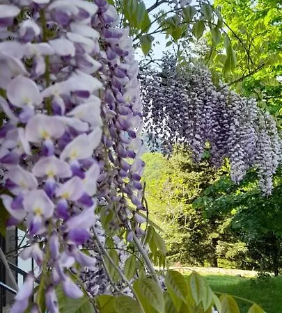 La Meridiana House 3* Monterenzio