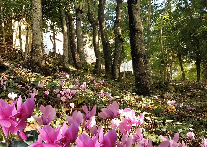 La Meridiana House Bed & Breakfast