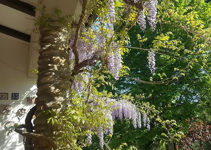 La Meridiana House Bed & Breakfast