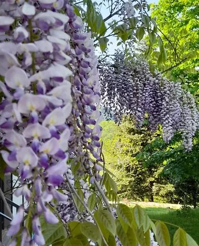 La Meridiana House 3* Monterenzio